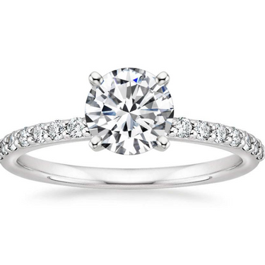 1.0CT Round Brilliant Mounted in Thin 1/2 Diamonds Band