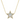 Stone Diamond Star Neckace